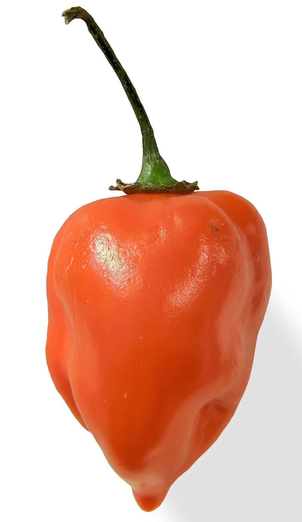 HABANEROS