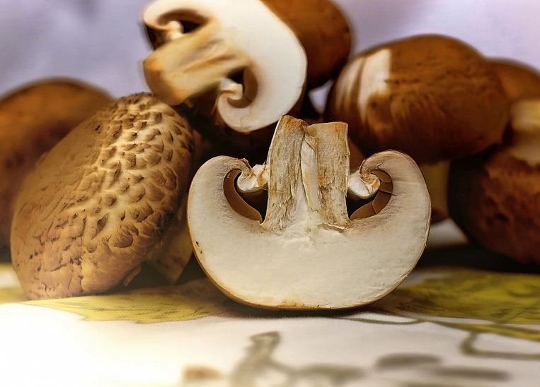 ΚΑΦΕ ΜΑΝΙΤΑΡΙΑ SHITAKE